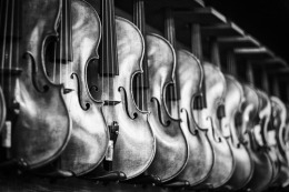 black and white violin row